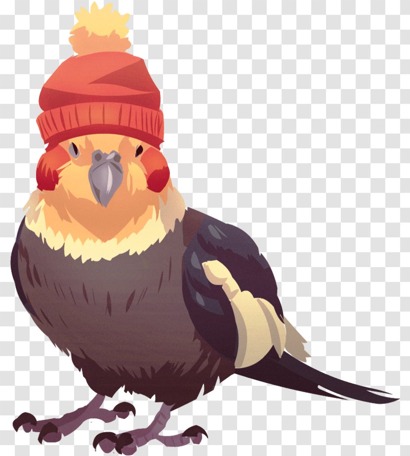 Bird Cartoon Beak Parrot Cockatiel - Animation Transparent PNG