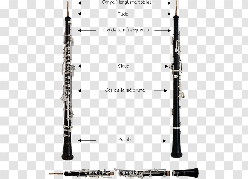 Cor Anglais Clarinet Bass Oboe Piccolo - Canya - Musical Instruments Transparent PNG
