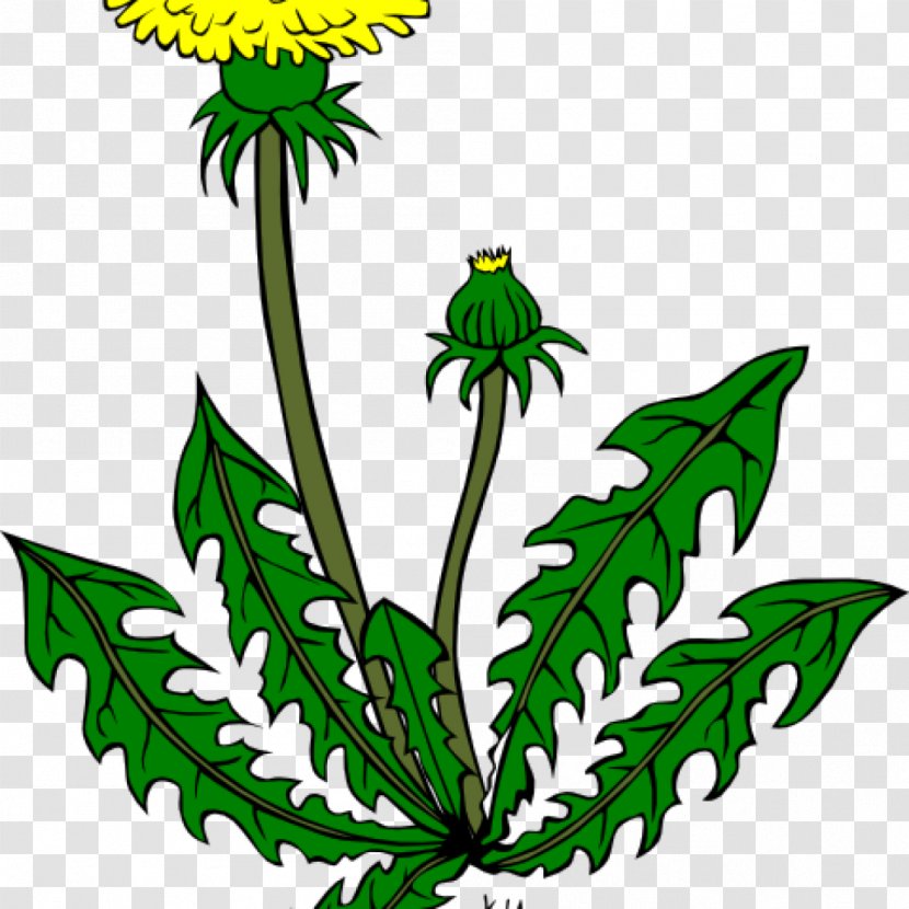 Clip Art Vector Graphics Common Dandelion Illustration - Sunflower - Thc Badge Transparent PNG