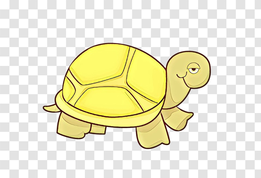 Tortoise Turtle Pond Turtle Yellow Reptile Transparent PNG