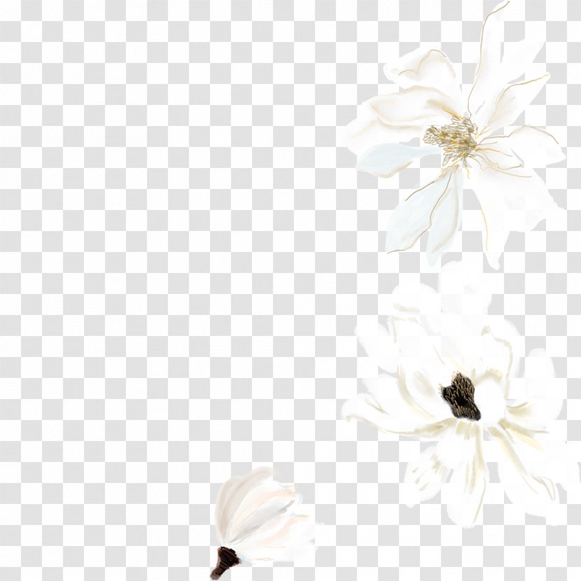 Watercolor Painting White Drawing - Gratis - Flower Decoration Pattern Transparent PNG