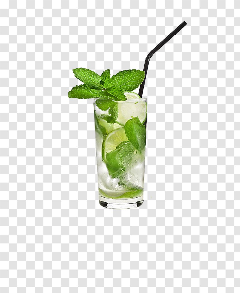 Mojito Cocktail Tea Rum Drink - Monin Inc - Lemonade Transparent PNG