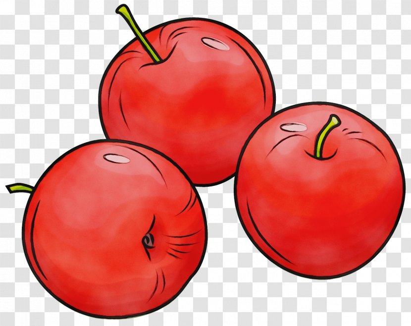 Natural Foods Fruit Local Food Red Apple - Leaf Mcintosh Transparent PNG