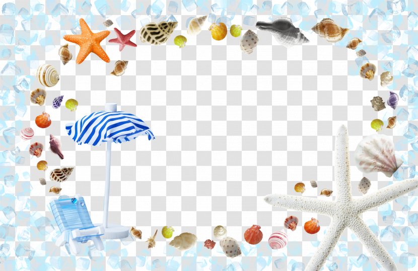Template Summer Poster - Shell Decorative Background Transparent PNG