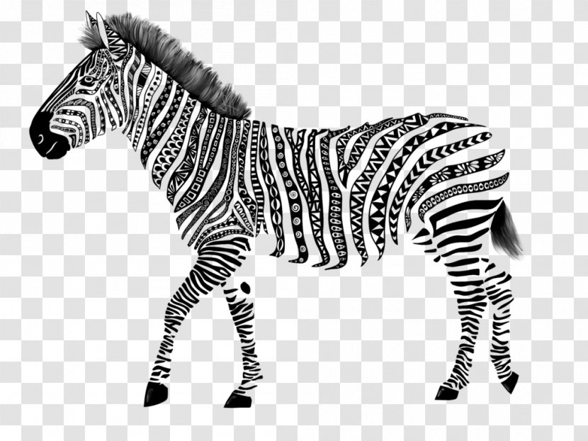 Quagga Zebra Drawing Art - Artist - Zetangle Transparent PNG