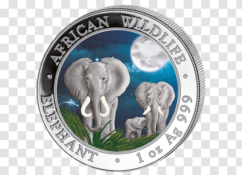 Indian Elephant Coin Somalia African Elephantidae - Gold - Variation Transparent PNG