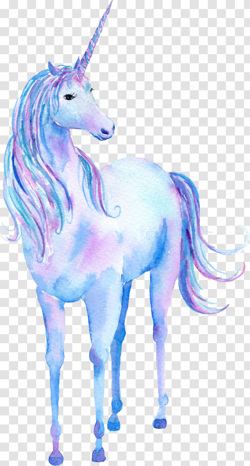 Unicorn Watercolor Painting Poster - Cartoon Animal Transparent PNG