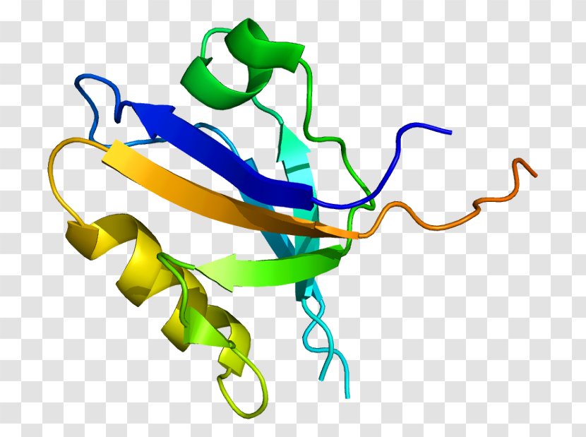 PICK1 Protein Kinase PDZ Domain PKC Alpha - Integral Membrane Transparent PNG