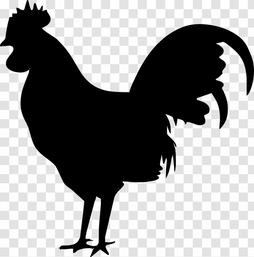 Chicken Rooster Bird Black Beak Transparent PNG