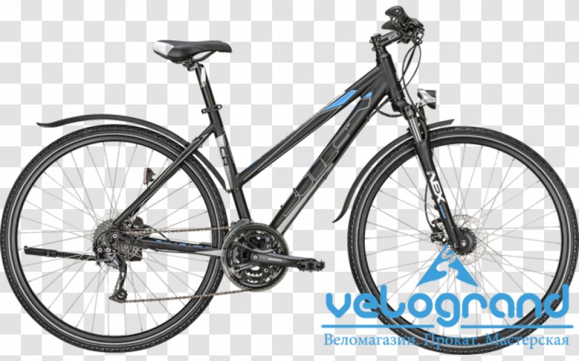 Hybrid Bicycle Serious Shoreline Mountain Bike Cycling - Tree Transparent PNG