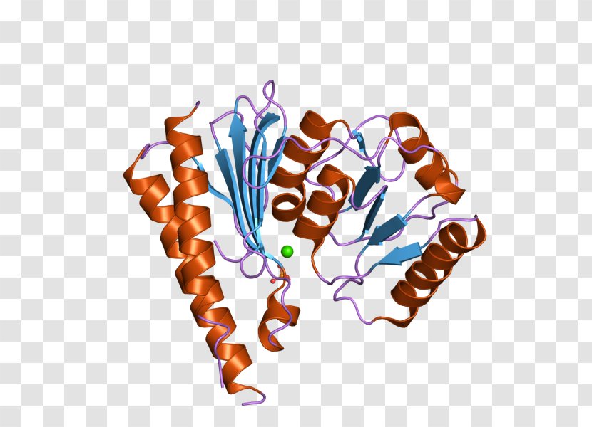 Inositol Monophosphatase 2 Food Clip Art Transparent PNG