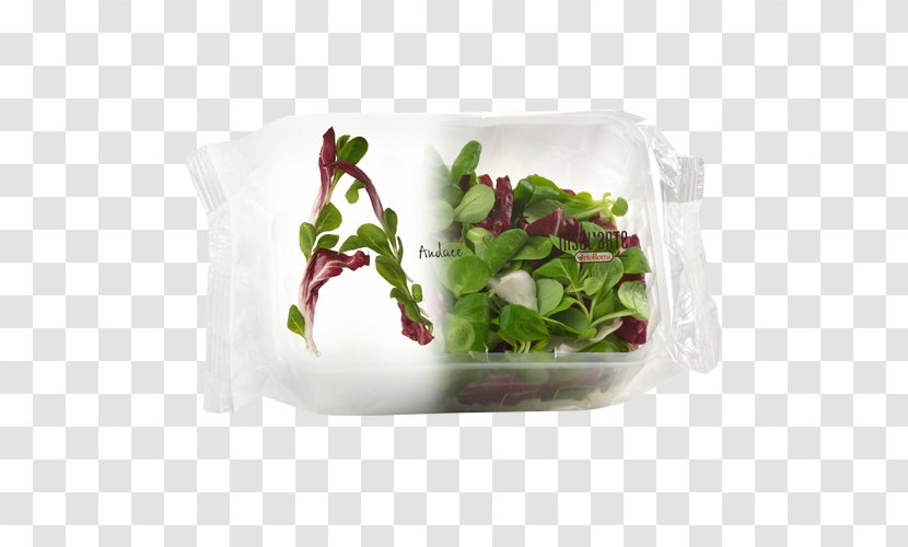 Plastic Bag Salad Packaging And Labeling Food Vegetable Transparent PNG