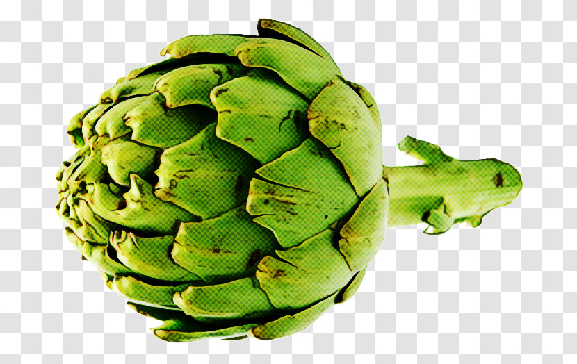 Artichoke Food Plant Cynara Vegetable Transparent PNG