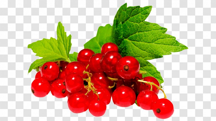 Gooseberry Zante Currant Redcurrant Strawberry Fruit - Raspberry Transparent PNG