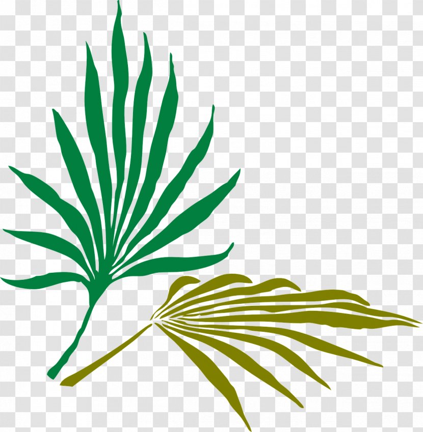 Palm Branch Frond Arecaceae Clip Art - Grass Family - Black And White Flowers Transparent PNG