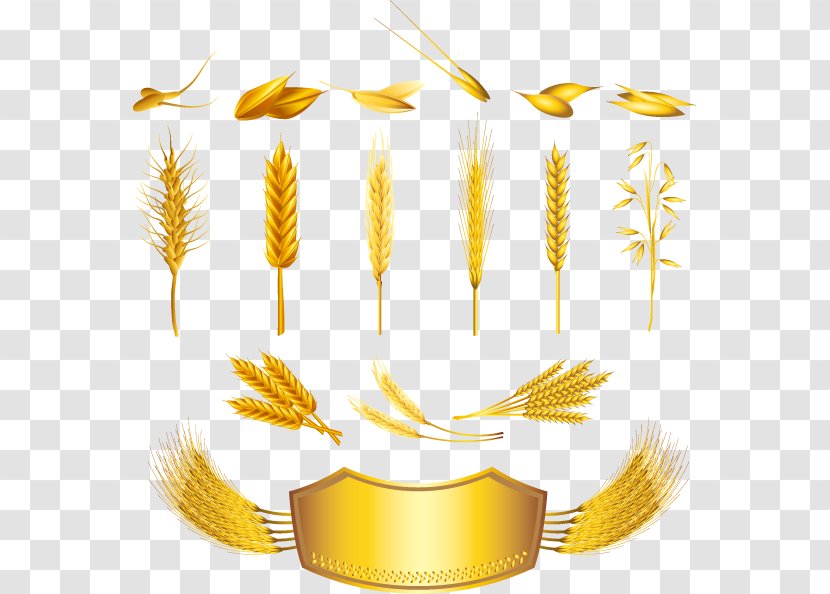 Cereal Wheat Ear Royalty-free - Decorative Bread Gold Label Transparent PNG