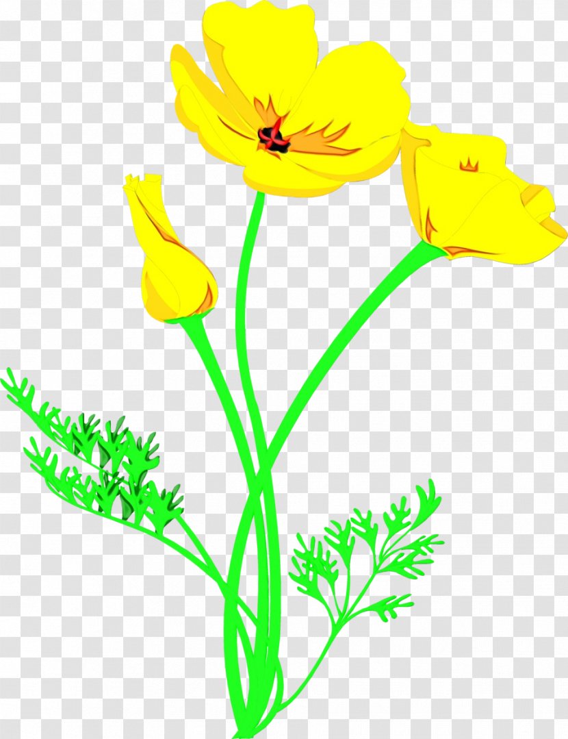 Drawing Of Family - Paper Clip - Wildflower Cut Flowers Transparent PNG