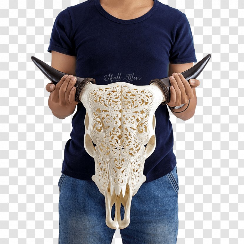 Bali Cattle Horn Skull Orbit - Tribal Transparent PNG