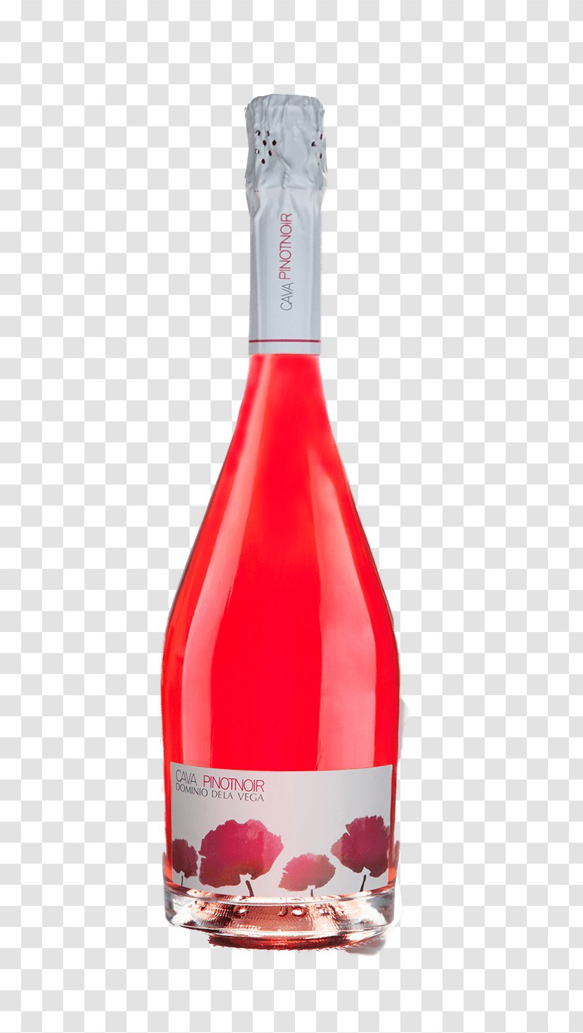 Champagne Pinot Noir Rosé Cava DO Wine - Tempranillo Transparent PNG