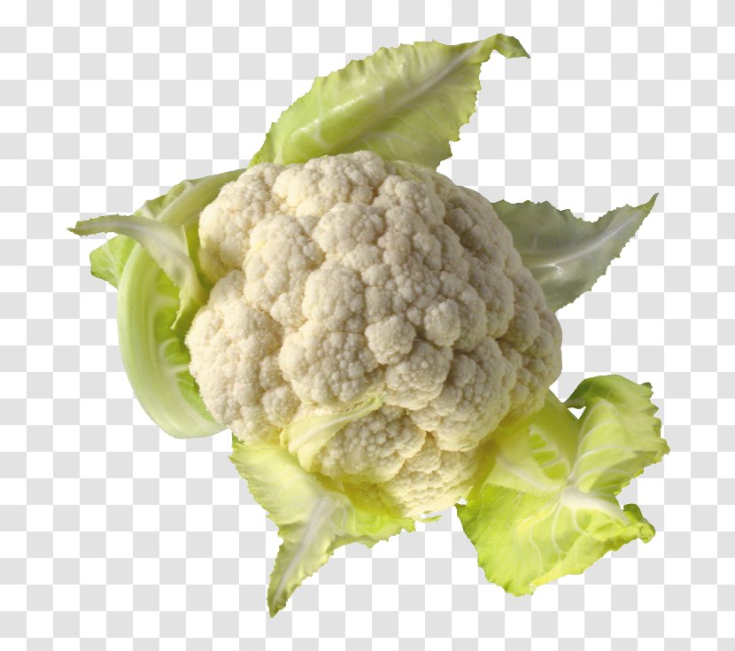 Cauliflower Cabbage Image File Formats - A White Broccoli Transparent PNG