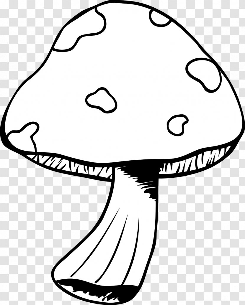 Clip Art Mushroom Image Drawing Vector Graphics - Undergrowth - Cartoon Transparent PNG