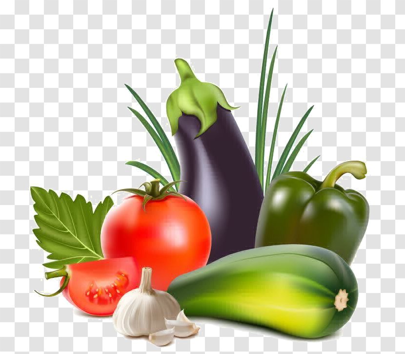 Vegetable Cartoon - Nightshade Family - Solanum Herb Transparent PNG