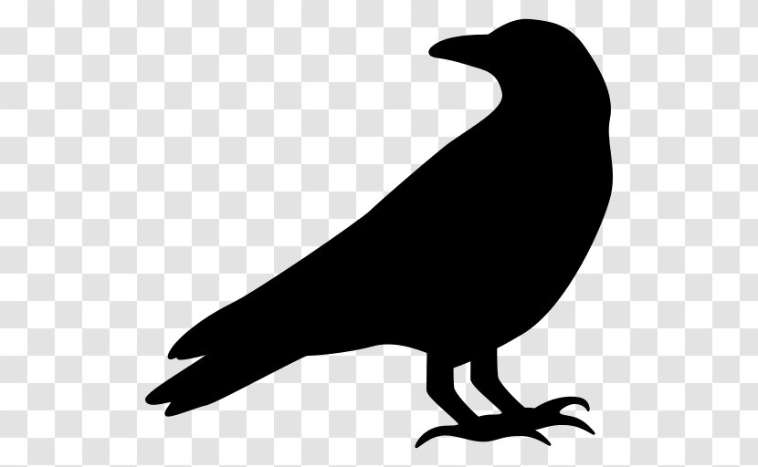 Raven Thick Billed - Beak - Royaltyfree Transparent PNG