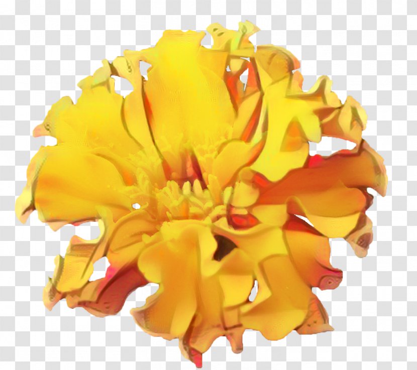 Flower Clip Art Image Vector Graphics - Petal - Vase Transparent PNG