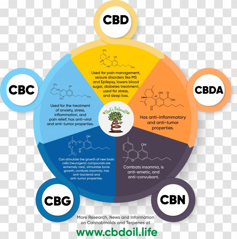 Cannabidiol Cannabinoid Cannabis Entourage Effect Tetrahydrocannabinol - Online Advertising Transparent PNG