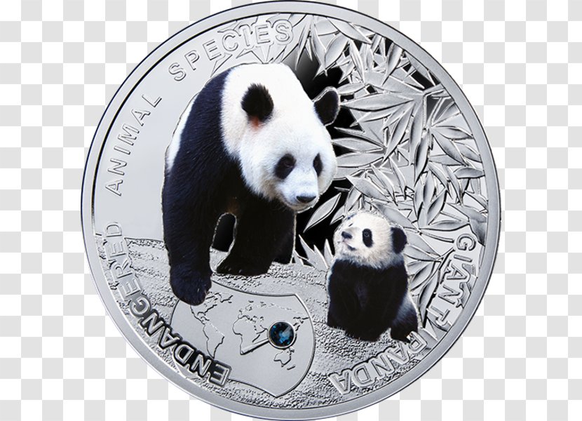 The Giant Panda Endangered Species Silver Coin Transparent PNG