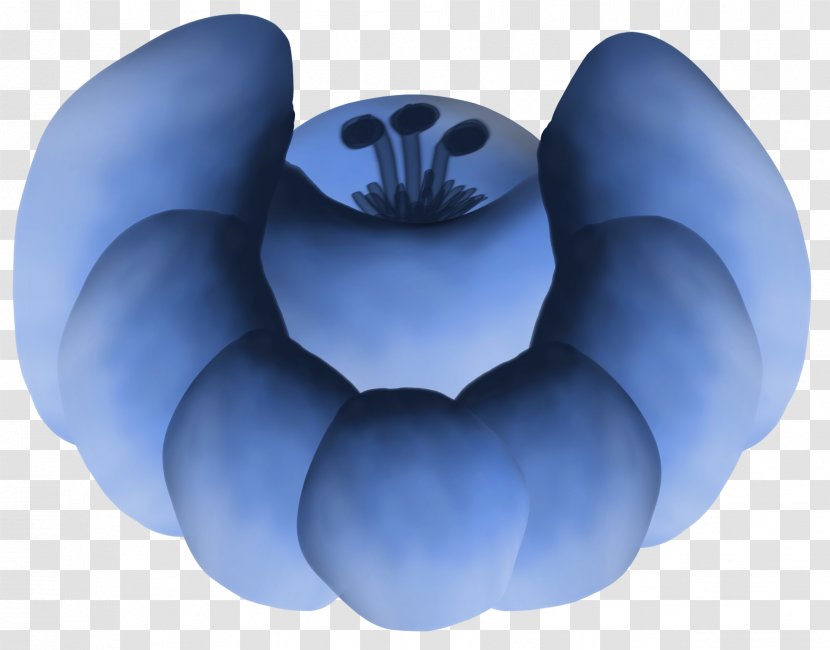 Gzhel Drawing Clip Art - Cobalt Blue - Flower Transparent PNG
