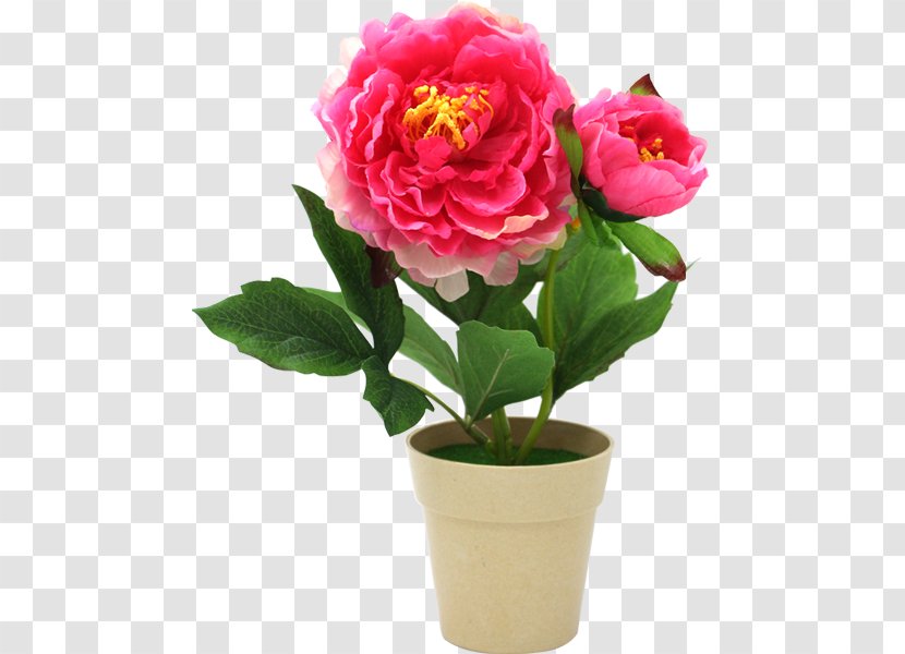 Artificial Flower Peony Cut Flowers Garden Roses - Camellia - White Bark Transparent PNG