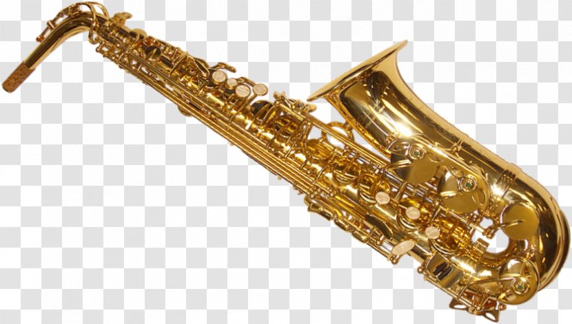 Elkhart Alto Saxophone Henri Selmer Paris Musical Instruments - Tree Transparent PNG