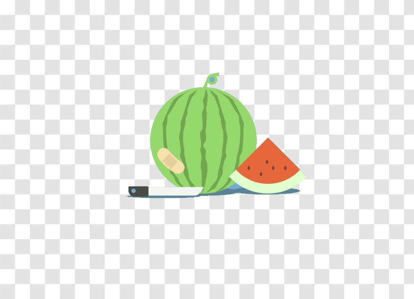 Watermelon Cartoon Flat Design Illustration - Plant Transparent PNG