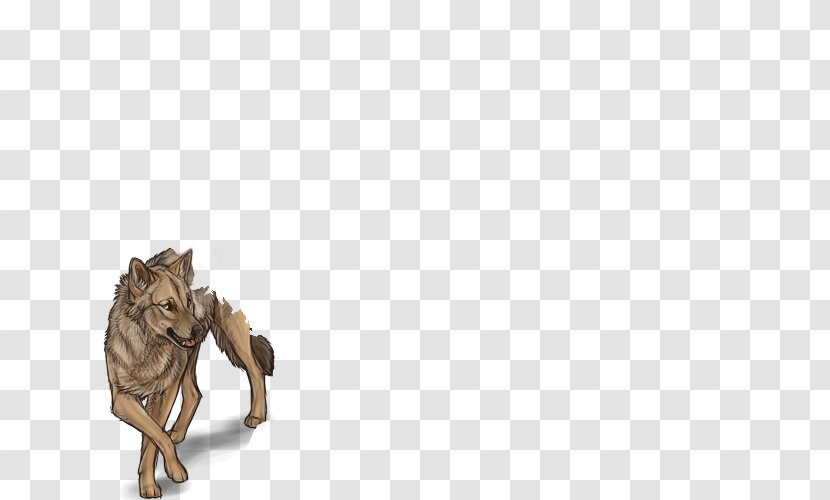 Lion Cat Dog Canidae Mammal Transparent PNG
