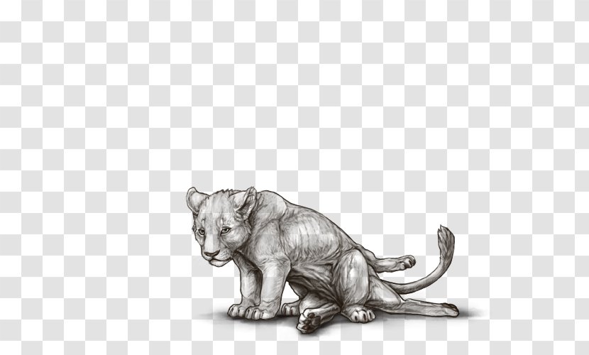 Lion Tiger Cat Dog - Organism Transparent PNG