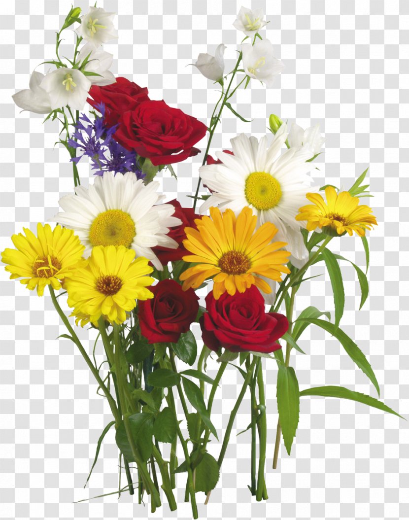 Flower Of The Fields Bouquet Garden Roses Transvaal Daisy - Plant - Camomile Transparent PNG