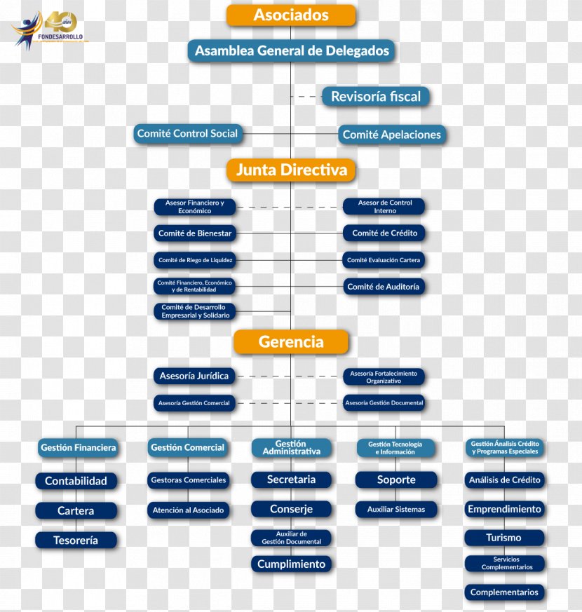 Organizational Chart Empresa Micro-enterprise Correo Corporativo - Trade - School Season Transparent PNG