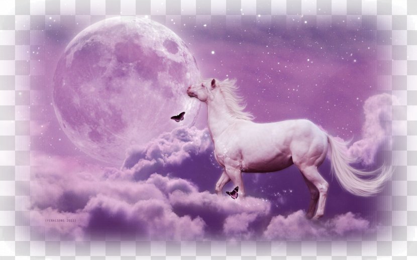 Desktop Wallpaper Unicorn Arabian Horse Download - Fictional Character Transparent PNG