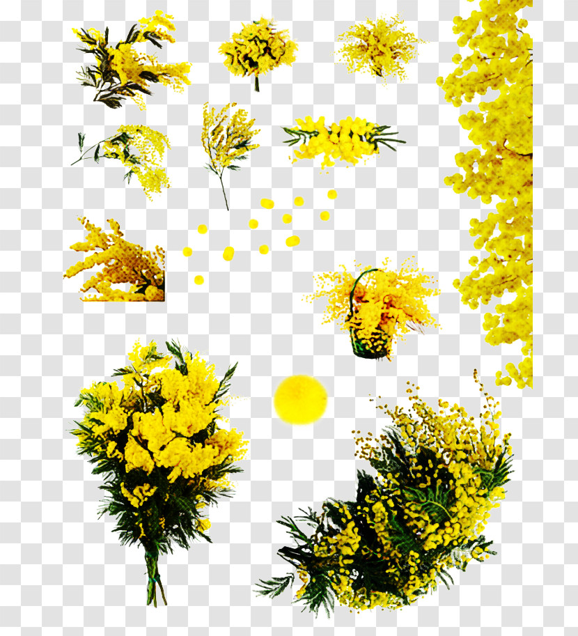 Sunflower Transparent PNG