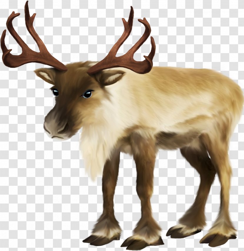 Santa Claus Village Rudolph Reindeer Sled - Christmas - Deer Transparent PNG