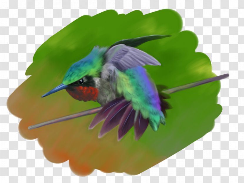 Satsuki Kusakabe Hummingbird Catbus Drawing - Art Transparent PNG