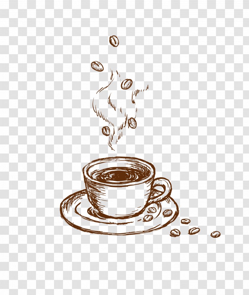 Coffee Cup Cafe Jenns Java - Food - Vector Gray Bean Transparent PNG