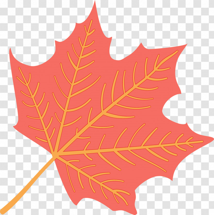 Maple Leaf Transparent PNG