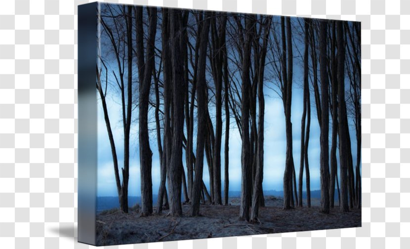 Gallery Wrap Picture Frames Modern Art Canvas - Frame - Wood Transparent PNG