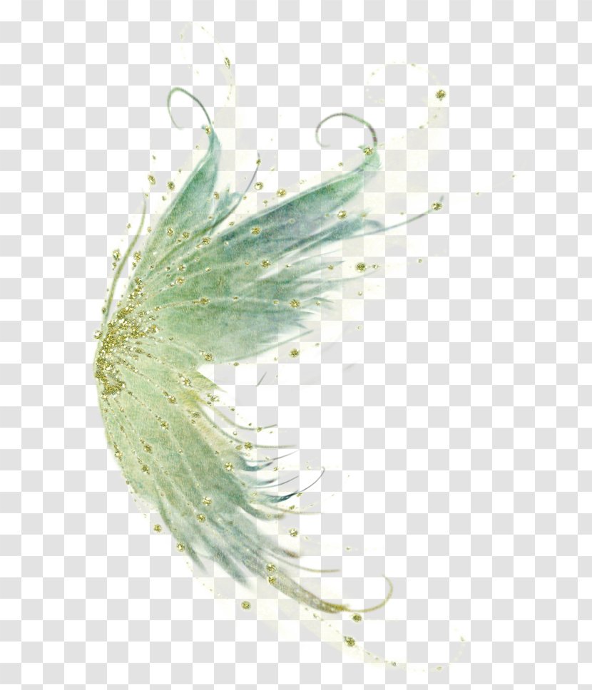Bird Feather Wing Fairy Transparent PNG