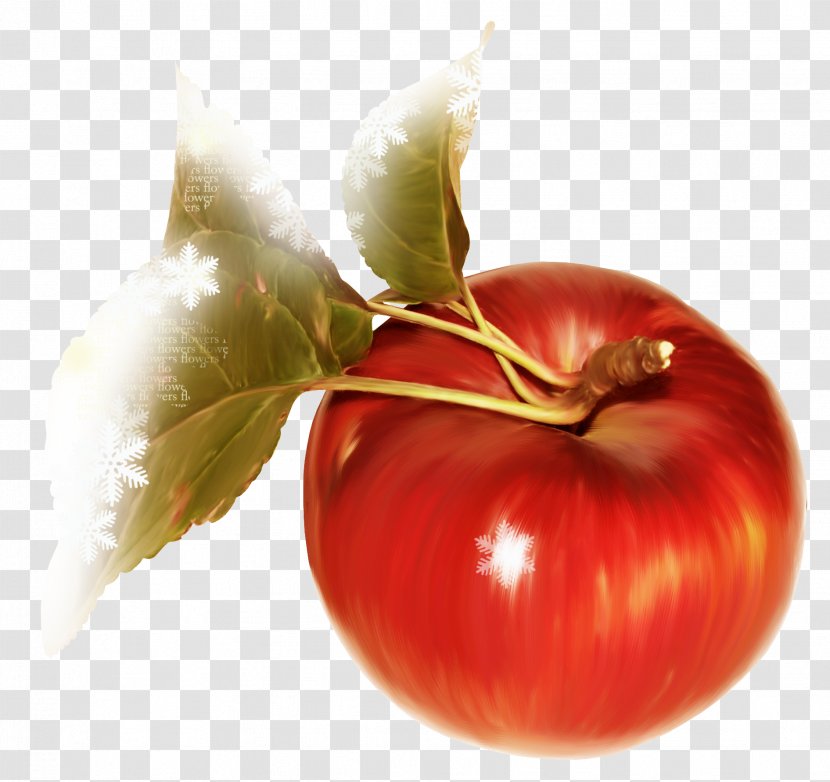 Apple Tomato Fruit Auglis Clip Art - Potato And Genus - Red Transparent PNG