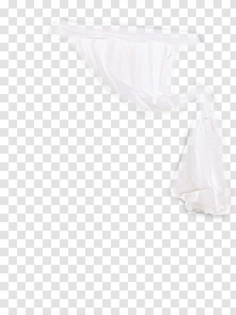 Neck - White Swan Transparent PNG