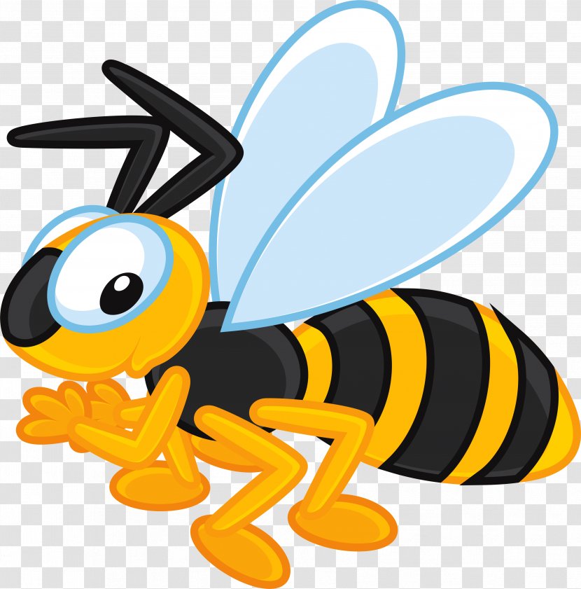 Honey Bee Insect Beehive Clip Art Transparent PNG