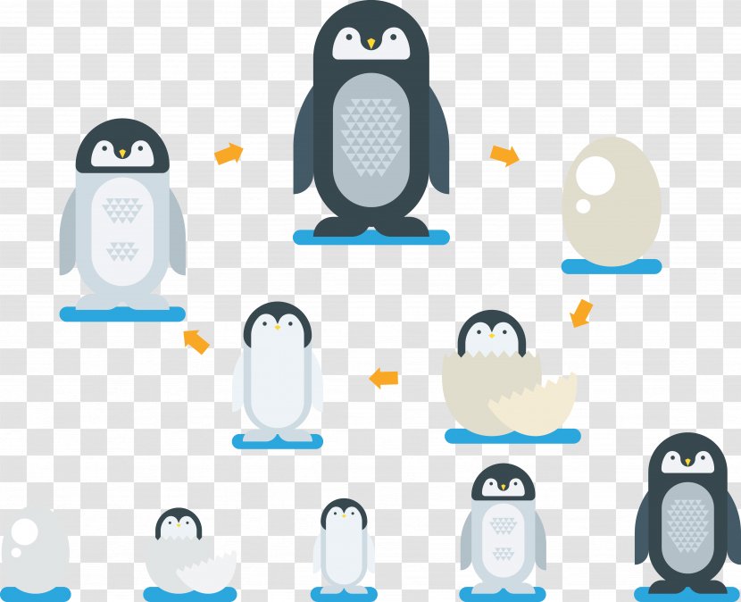Penguin Cartoon Illustration - Technology - Hatching Transparent PNG